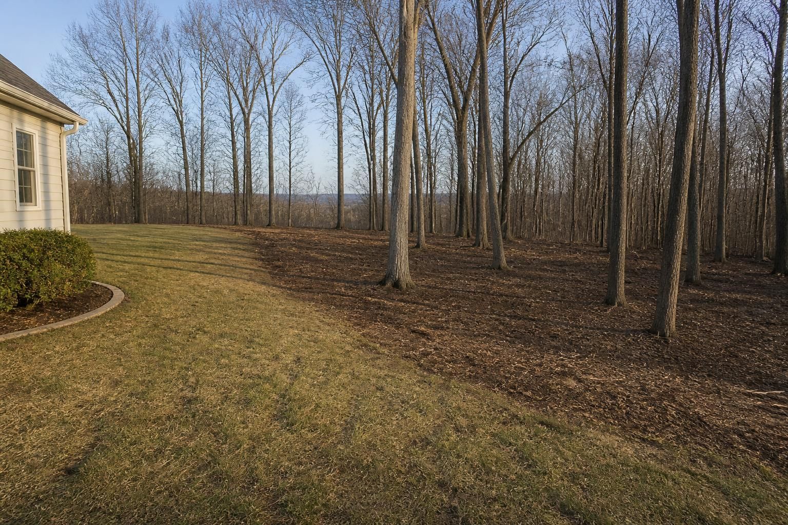 Cleared undergrowth and brush at a residential property edge