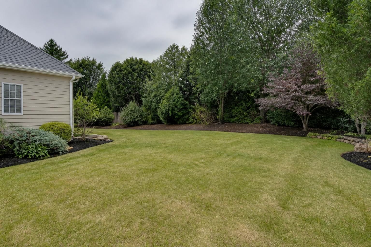 Open yard after removing a hazardous tree