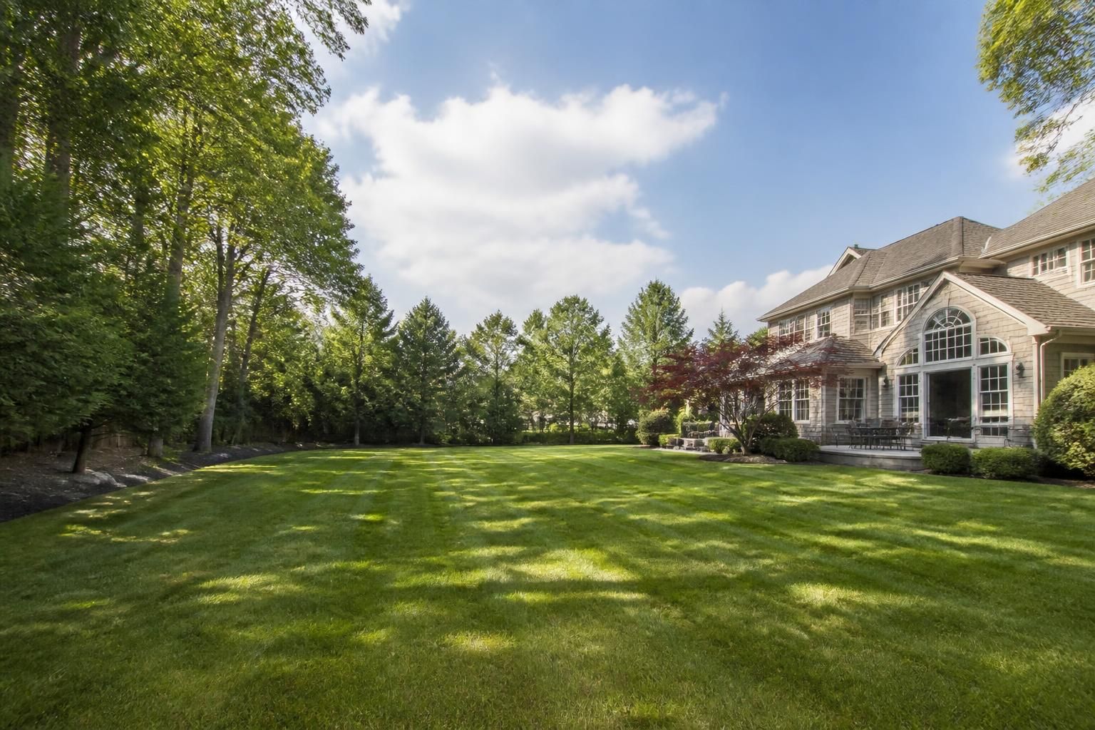 Large open yard after a big tree was removed