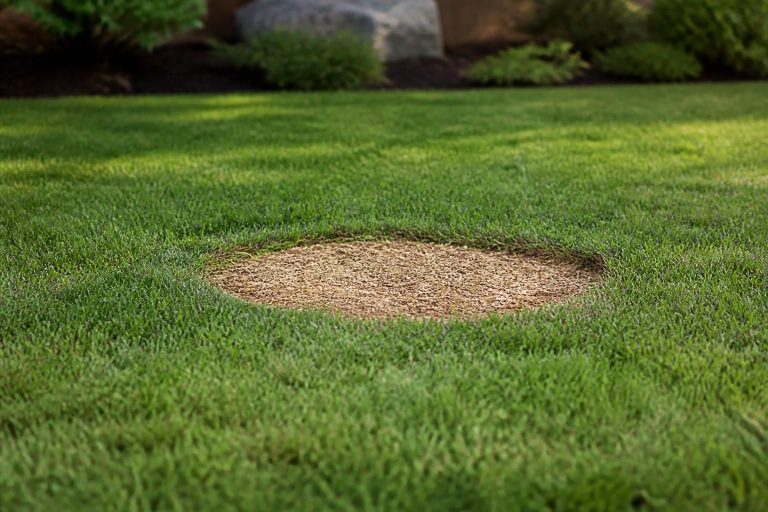 Stump grinding